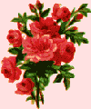 A bouquet of flowers for Mom.